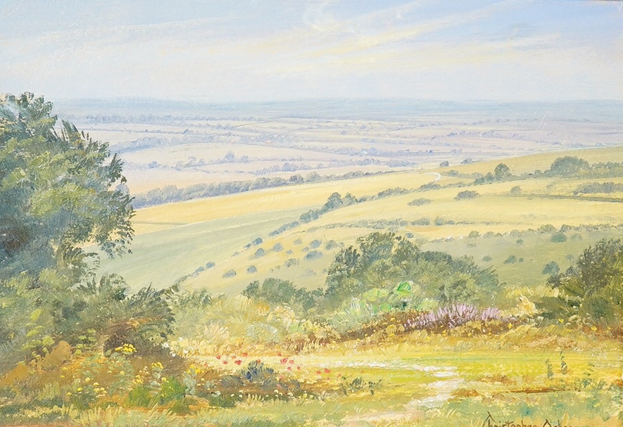 Christopher Osborne (b.1947), two oils on board, ‘On Lullington Heath’ and ‘The Ramblers Path’, each signed and inscribed verso, largest 19 x 29cm, gilt framed. Condition - good